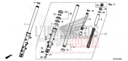 FORCELLA ANTERIORE CBR650FAH di 2017